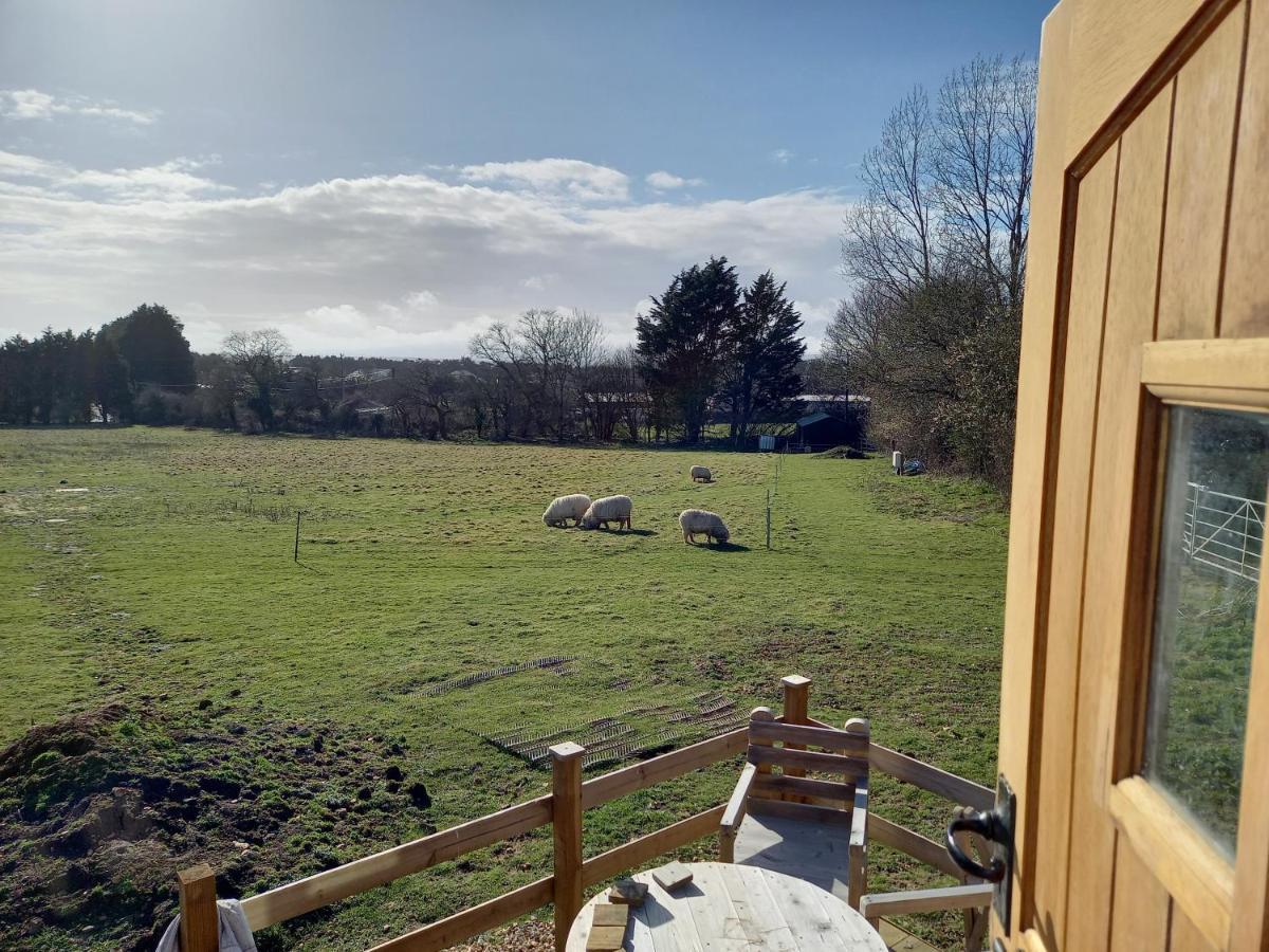 Under The Stars Shepherds Huts At Harbors Lake Villa Newchurch  Екстериор снимка