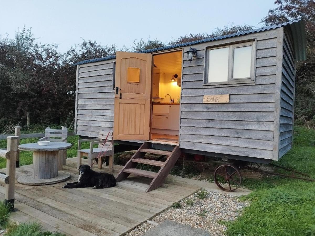 Under The Stars Shepherds Huts At Harbors Lake Villa Newchurch  Екстериор снимка